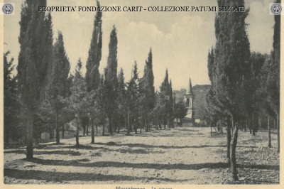 Montefranco - La pineta 